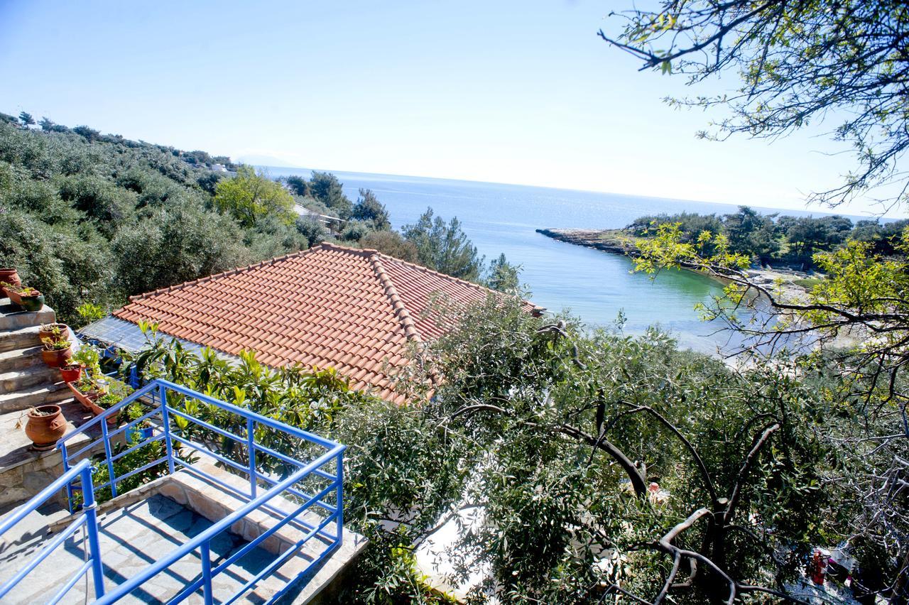 Apartment Ntina